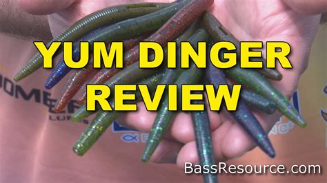 Exploring the World of Yum Dinger Ekders: Tackle Box Essentials